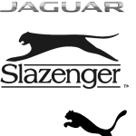 logo jps2